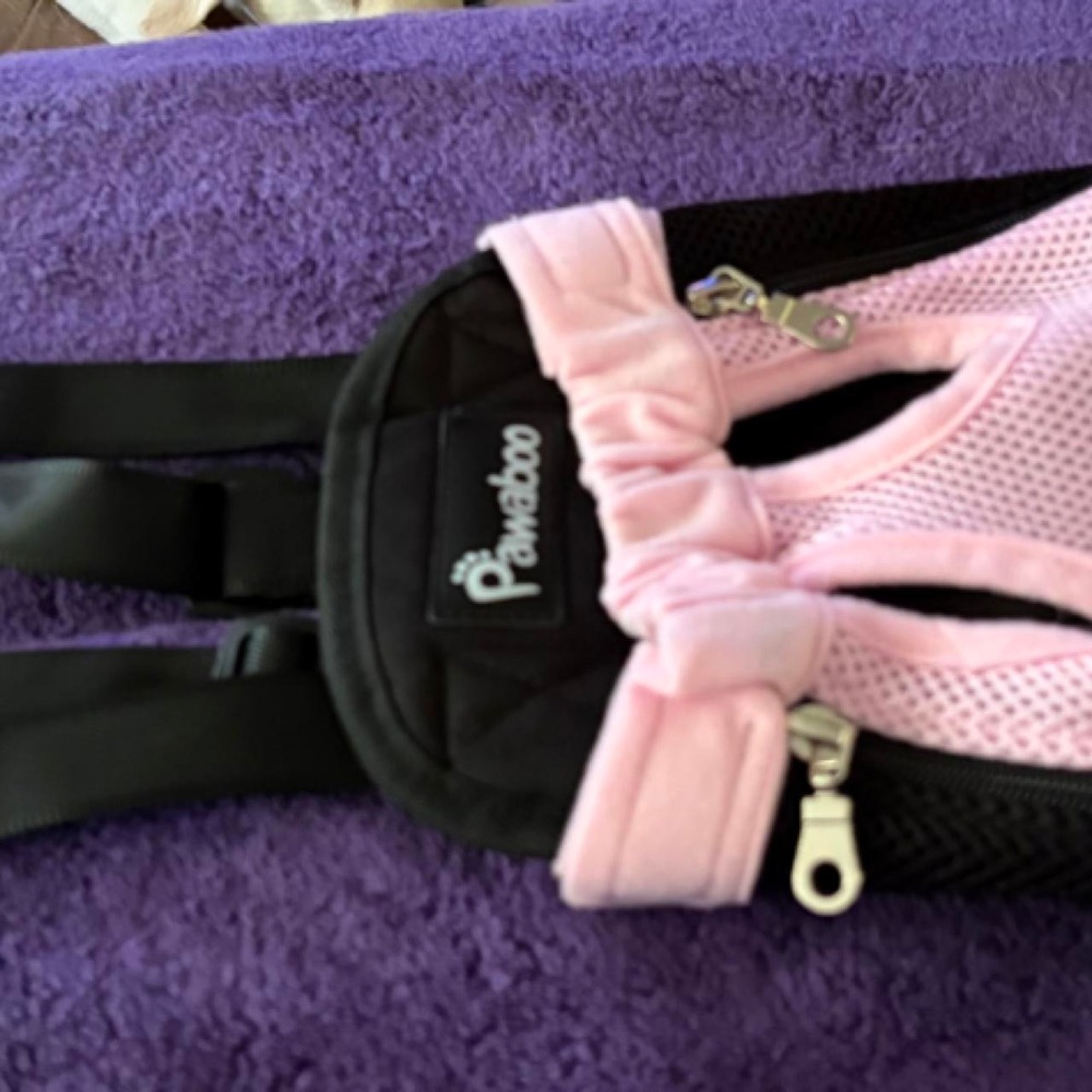 Dog back pack